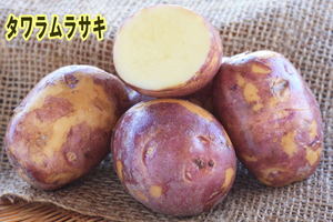 発送中【自然栽培】じゃがいも2kg　2025長崎県産・固定種（タワラムラサキ）無肥料無農薬栽培自家採種