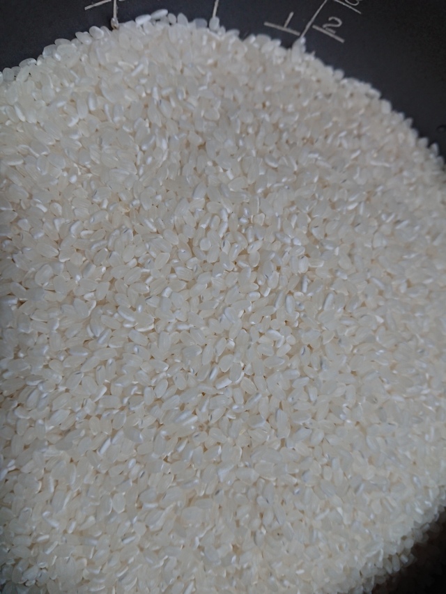 萩永様専用☆2021【自然栽培米】熊本県産ササニシキの自家採種15年目★無洗米精米3ｋｇ☆レターパック配送