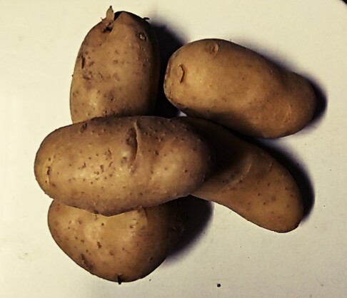 こだわり八百屋の【熊本県産】　オススメ産直フレッシュ  天草新じゃがメークィン　1kｇ