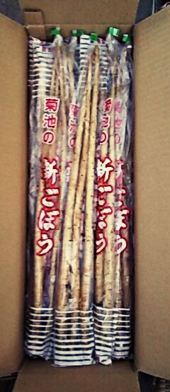 こだわり八百屋の【熊本県産】　オススメ産直フレッシュ  菊池新ごぼう　3本入り　1P