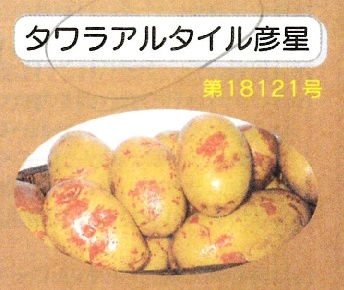 ぷてくん！俵アルタイル彦星じゃがいも20㎏ ぷてくん様専用！俵アルタイル彦星じゃがいも20㎏ - メルカリ