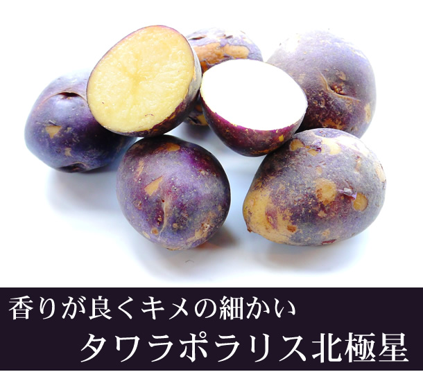 【自然栽培】じゃがいも2kg 2026長崎県産・固定種(タワラポラリス・北極星)無肥料無農薬自家採種