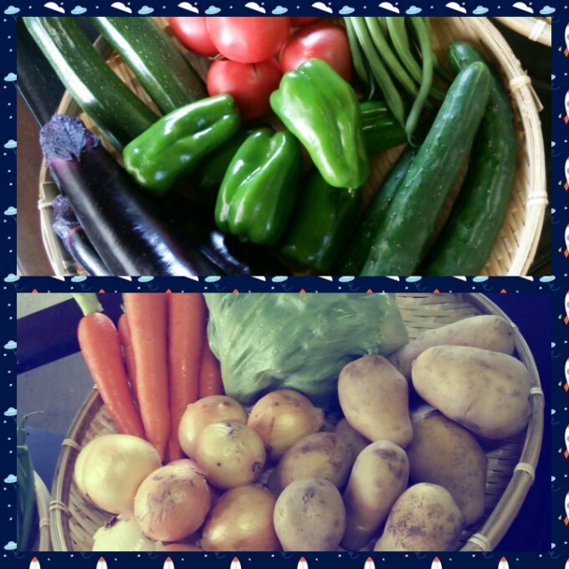 【九州のめぐみ】 オススメやさいセット 10種 フレッシュ産直便