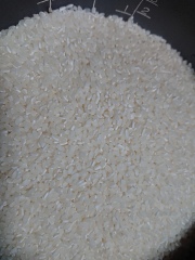 萩永様専用☆2021【自然栽培米】熊本県産ササニシキの自家採種15年目★無洗米精米3ｋｇ☆レターパック配送