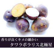 【自然栽培】じゃがいも2kg　2026長崎県産・固定種（タワラポラリス・北極星）無肥料無農薬自家採種