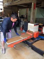 松さま専用　自然栽培米2026　 熊本県産ひのひかり　無洗米20キロ　　無肥料無農薬栽培　自家採種