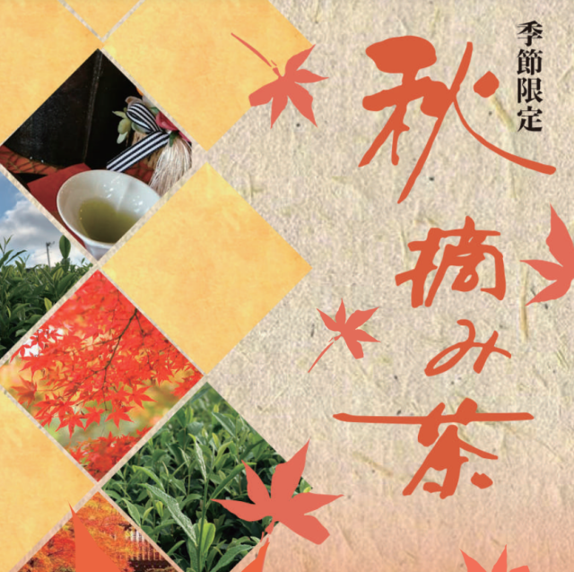 ※予約受付中※10月上旬より順次発送【季節茶】秋摘み茶（50g）