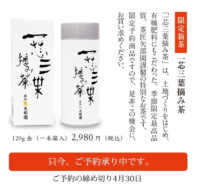限定新茶「一芯三葉摘み茶」
