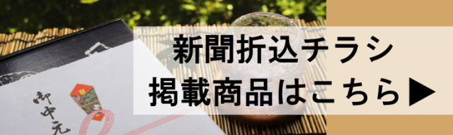 チラシ掲載商品バナー