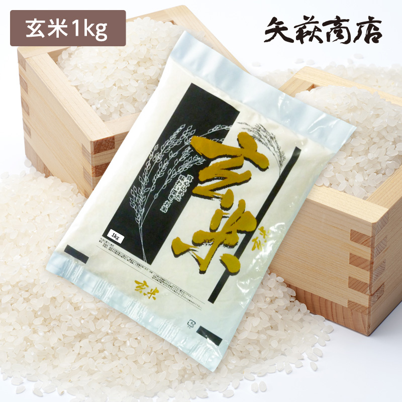 【送料無料お試し米】令和6年産 山形県産 あきたこまち 玄米1kg【時間指定不可】