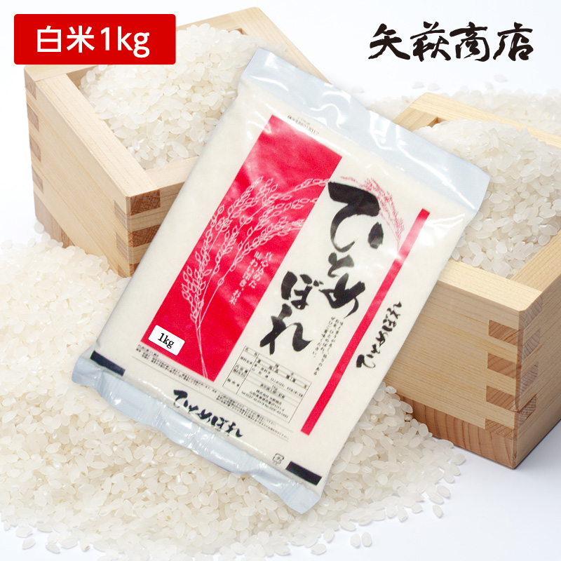 【送料無料お試し米】令和7年産 山形県産 ひとめぼれ 白米1kg【時間指定不可】