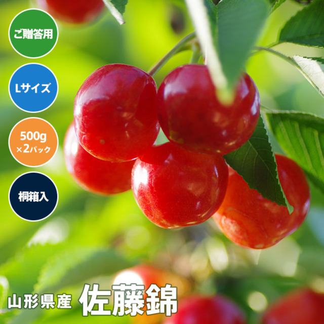 【送料無料】（簡易タイプ）桐箱入りさくらんぼ佐藤錦 Lサイズ　500gパック詰め×2【6月10日～30日にかけて出荷予定】