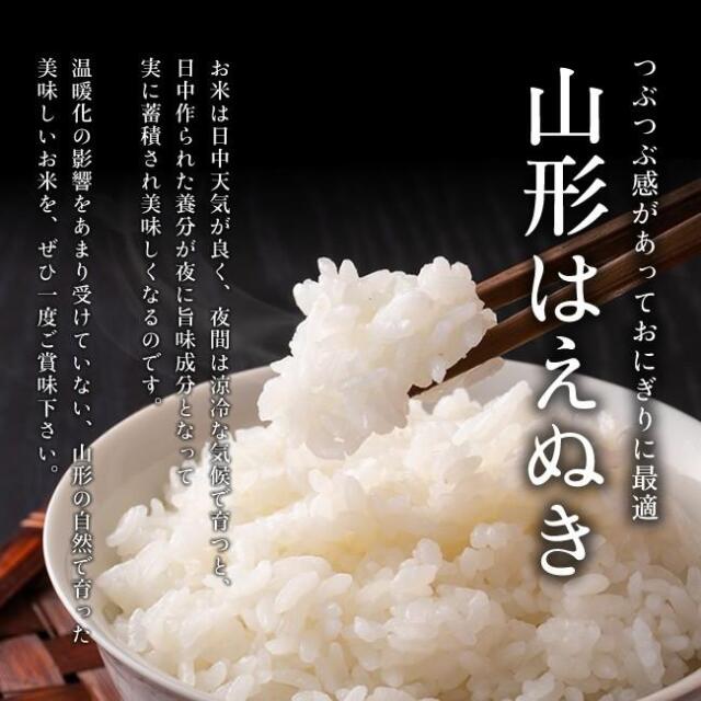 はえぬき玄米,激安,通販,送料無料