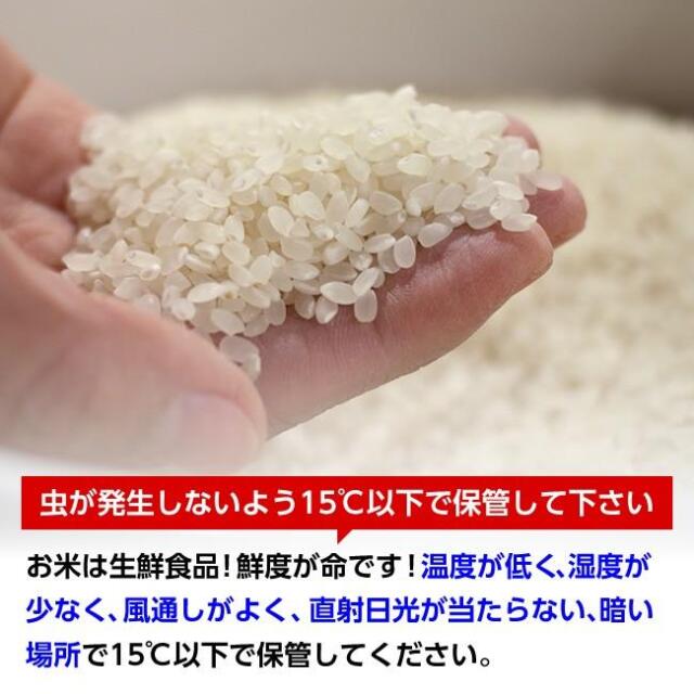 はえぬき玄米,激安,通販,送料無料
