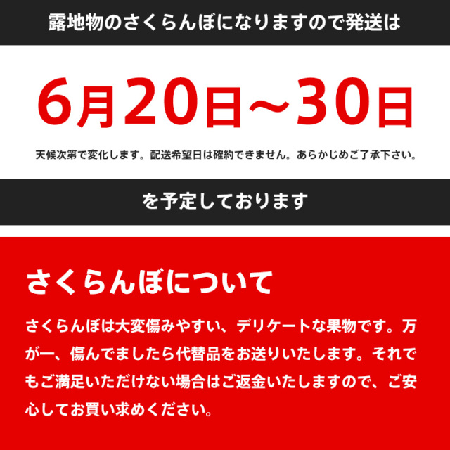 さくらんぼの木「搬送時はエコメルカル便指定」 satou-l-2l-1kg-hp-3.jpg