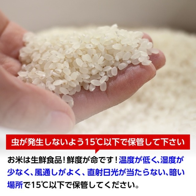 値下！10kg「ひとめぼれ」白米 ひとめぼれ 新米 令和7年産 登米産 白米 10kg 特別栽培米 農薬・化学