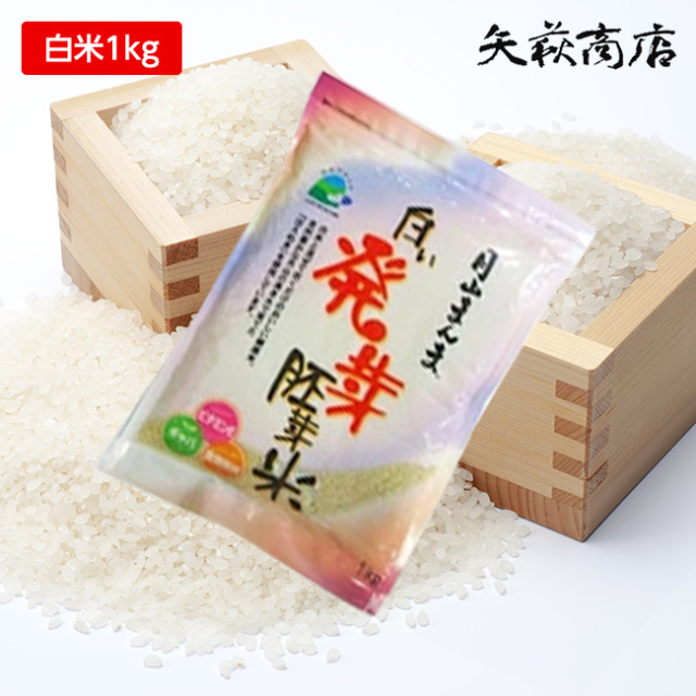 白い発芽胚芽米 月山まんま はえぬき1kg【ネコポス発送】【日時指定不可】