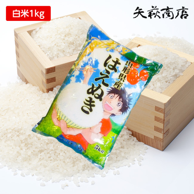 【送料無料お試し米】令和6年産 山形県産 はえぬき 白米1kg【時間指定不可】