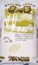 【送料無料】山形とくとく米5kg [四国・九州への配送は+400円/沖縄・離島への配送は+1,000円となります]