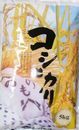 【送料無料】令和6年産山形県産コシヒカリ白米5kg [四国・九州への配送は+400円/沖縄・離島への配送は+1,000円となります]