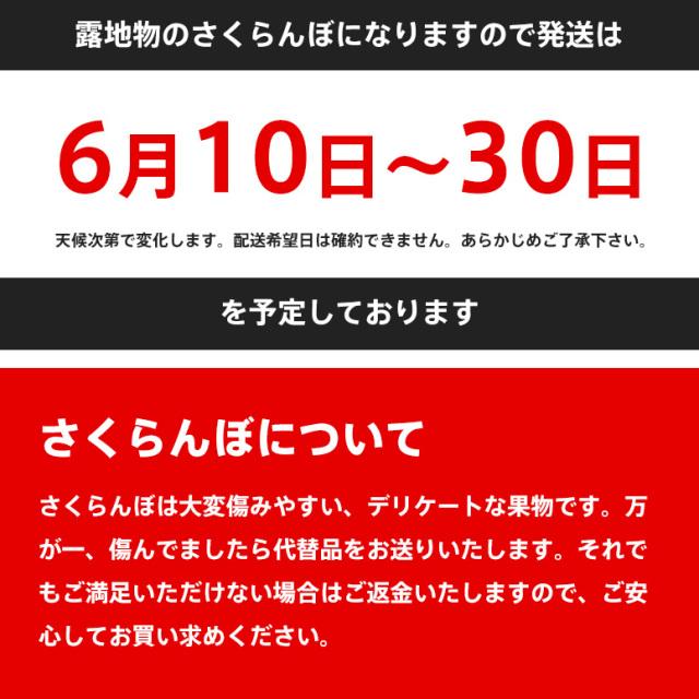 kansaitsubame　佐藤錦L1kgバラ詰　クール便送料込み imgrc0154575851.jpg
