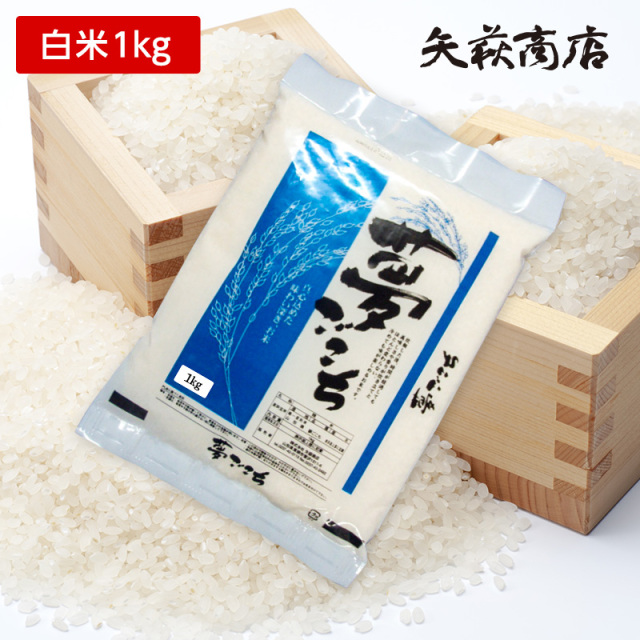 【送料無料お試し米】令和6年産 山形県産 夢ごこち 白米1kg【時間指定不可】
