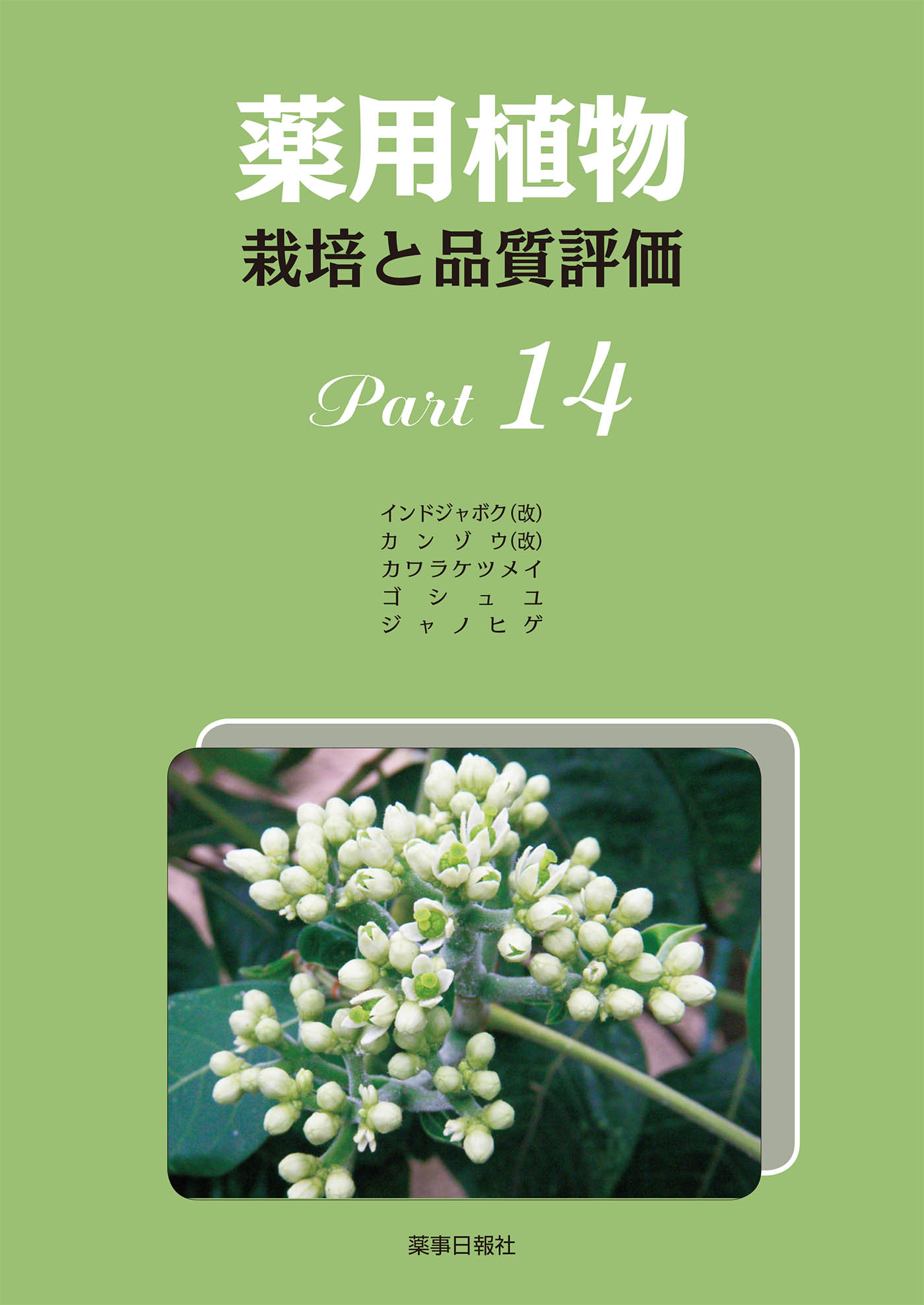 薬用植物14