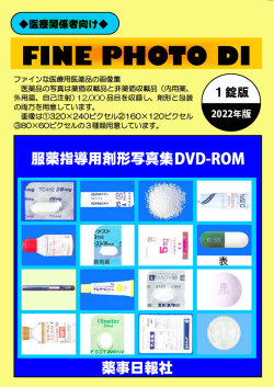 FINE PHOTO DI 剤形写真集DVD-ROM 1錠版