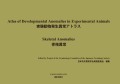 実験動物発生異常アトラス-骨格異常-