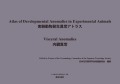 実験動物発生異常アトラス -内臓異常-