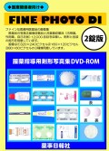 FINEPHOTODI2錠