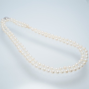 10079279_2連ネックレス