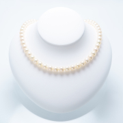 10221648_あこや8.0mm_2点セット