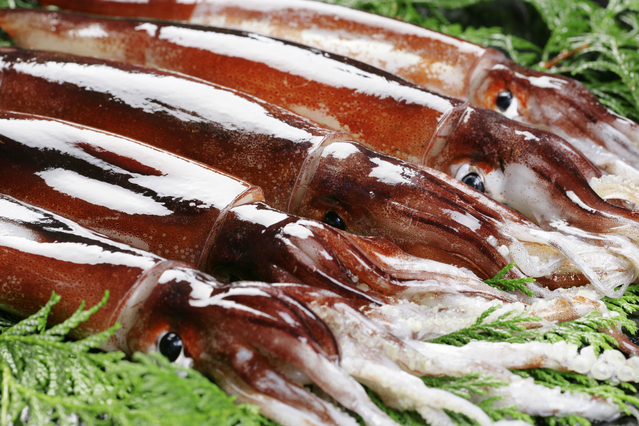 厳選　北海道産イカ一夜干し（真空冷凍2枚入り）