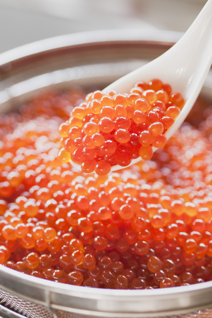 特選　北海道産直　いくら醤油漬け（500ｇ冷凍）