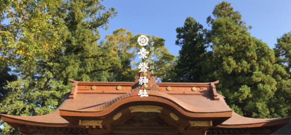 【素鵞神社 御鎮座五百年記念事業応援】おみたまプリン（カラメルジュレ入り）