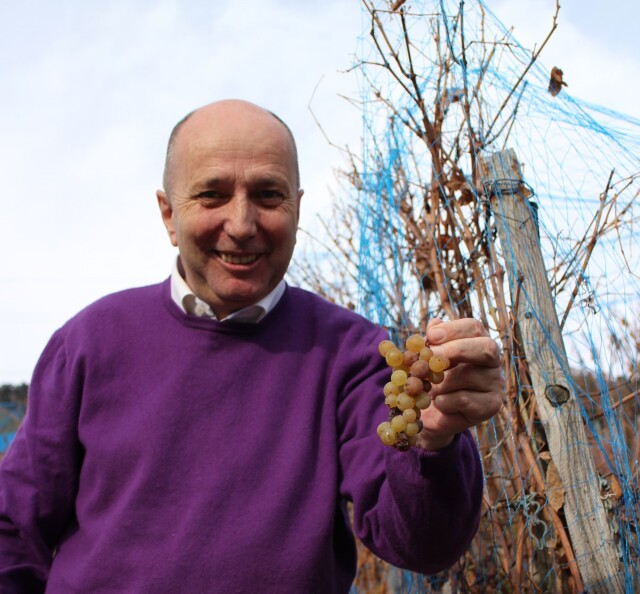 スイス・ヴァレー州白ワイン,アミーニュ,スイス地場品種,2本セット