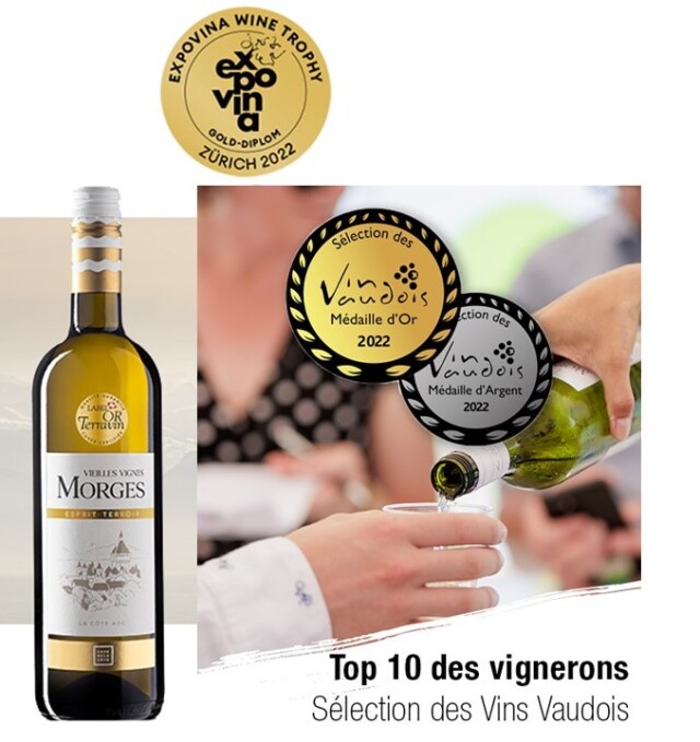 エスプリ・テロワール・モルジュ, ヴィエイユ・ヴィーニュ, La