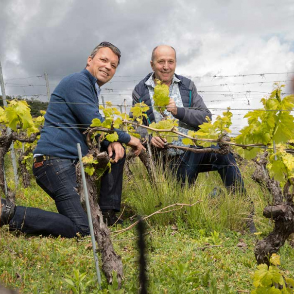 スイス・ヴァレー州シラー100％赤ワイン「Cayas カイヤス」