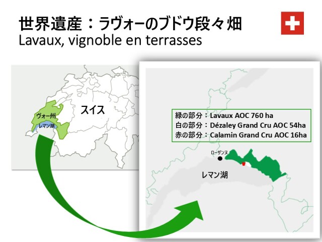 世界遺産ラヴォーのブドウ段々畑」特別特区2大グランクリュ・シャスラ
