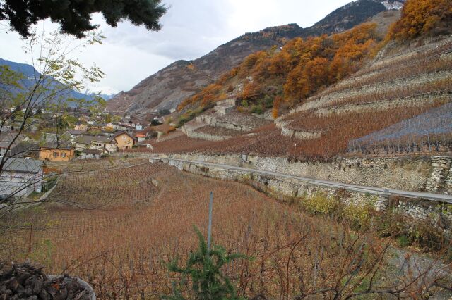 スイス・ヴァレー州白ワイン,アミーニュ,スイス地場品種,2本セット