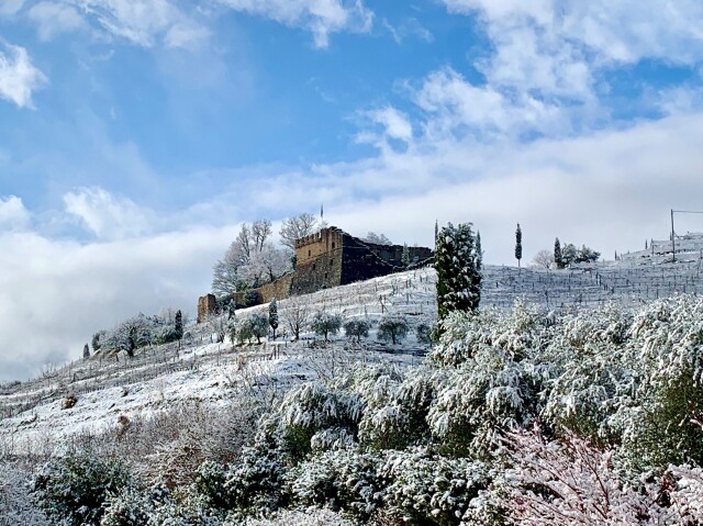 スイス3大ロゼのひとつ・スイス・ティッチーノ州名産・メルローロゼ