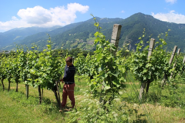 1807年 スイス グラウビュンデン バッツェン UK United Kingdom Great Britain 3 Pence 1941 KM# 848 Silver