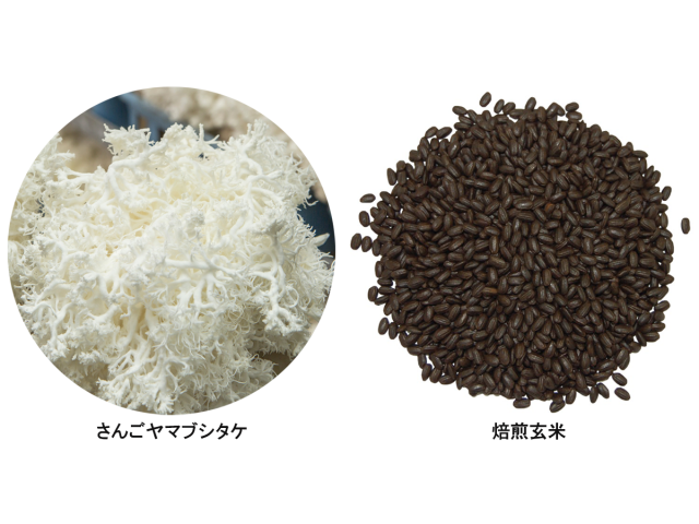 さんごヤマブシタケ入り玄米珈琲の原料