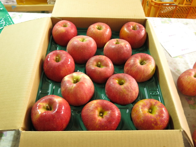 こうりん　10きろ