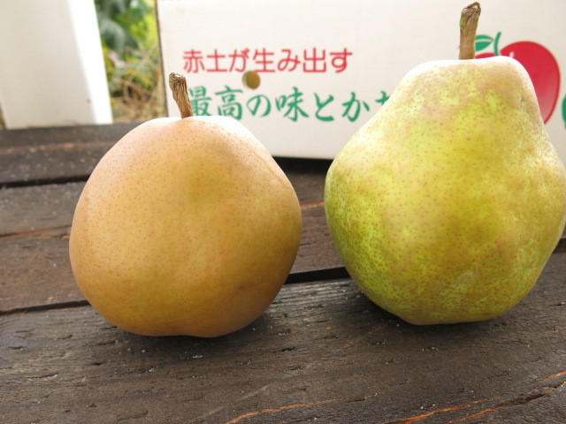 ゴールドラフランス