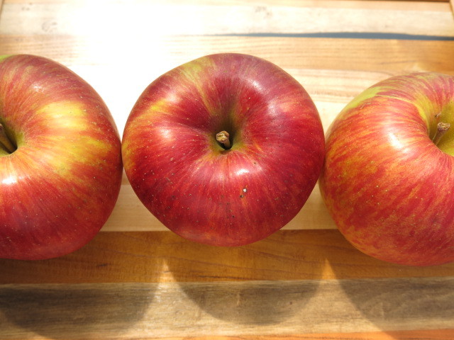 あいかの香り1.ｊｐｇ