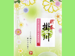 掛川