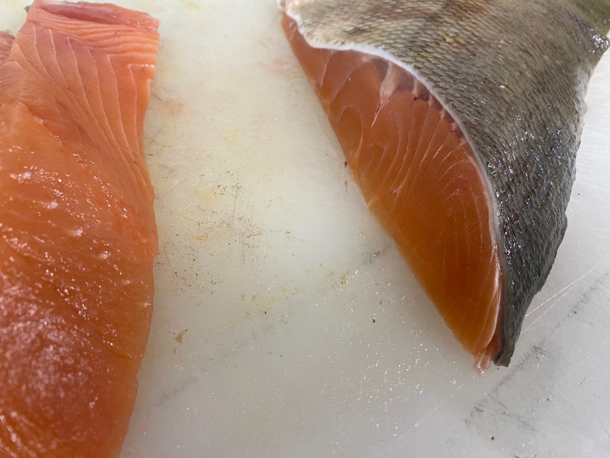 銀サケのひもの