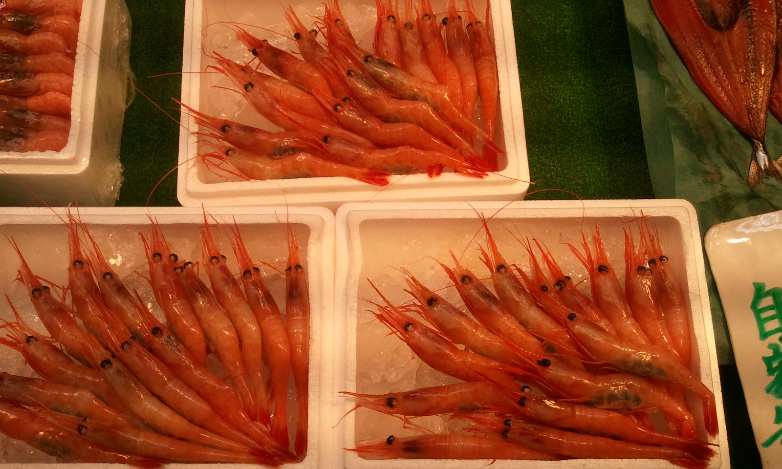 特大あまえび